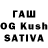 Cocaine 99% ksusha parshina