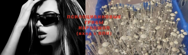 героин Алзамай