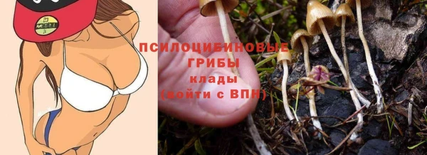 героин Алзамай