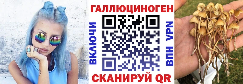 Галлюциногенные грибы GOLDEN TEACHER  Гаджиево 